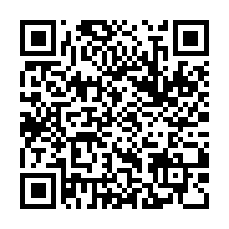 QR code pour aller sur https://www.michelin.com/en/investors/general-meetings